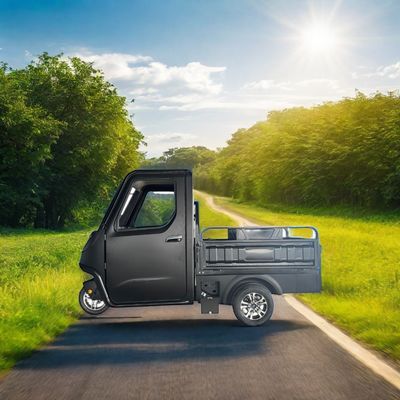 Opitional 1000/1200/2000/3000W Electric Tricycles for Family -3 Wheel E-Bike and Pedicab
