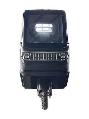Opitional 1000/1200/2000/3000W Electric Tricycles for Family -3 Wheel E-Bike and Pedicab