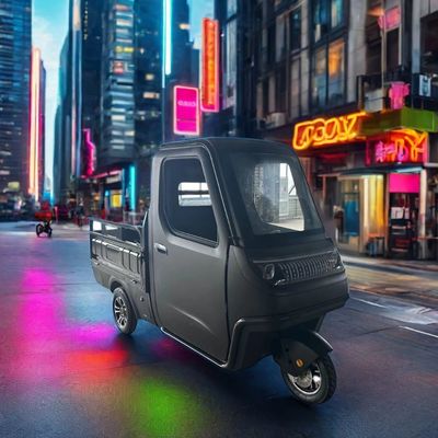 Opitional 1000/1200/2000/3000W Electric Tricycles for Family -3 Wheel E-Bike and Pedicab