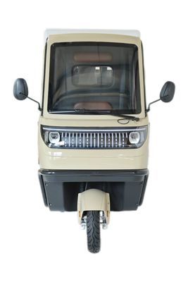 Electric Tricycles 3 Wheel E-Bike Three Wheel Motorcycle with 70-90km Driving Mileage