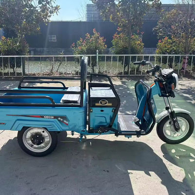 Heavy duty cargo transport with 3.75-12 tire size 600kg 1000w 3 wheel electric motorcycle