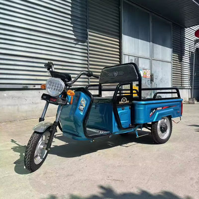 Heavy duty cargo transport with 3.75-12 tire size 600kg 1000w 3 wheel electric motorcycle