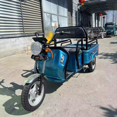 Heavy duty cargo transport with 3.75-12 tire size 600kg 1000w 3 wheel electric motorcycle