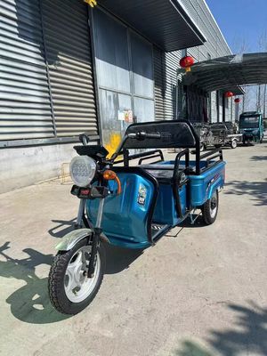 Custom Farm 1200W Electric Tricycle Motorcycle with Front Drum Rear Drum Brake System