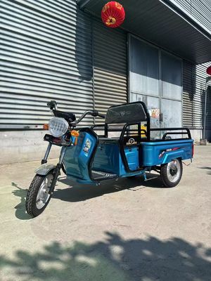 Custom Farm 1200W Electric Tricycle Motorcycle with Front Drum Rear Drum Brake System