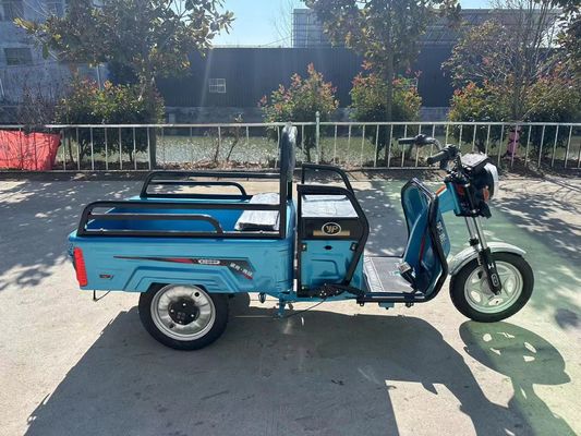 Custom Farm 1200W Electric Tricycle Motorcycle with Front Drum Rear Drum Brake System