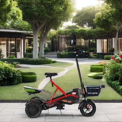 Electric Scooter with Dual Brushless Motors and Steel Frame 48V500W*2 Lithium Battery