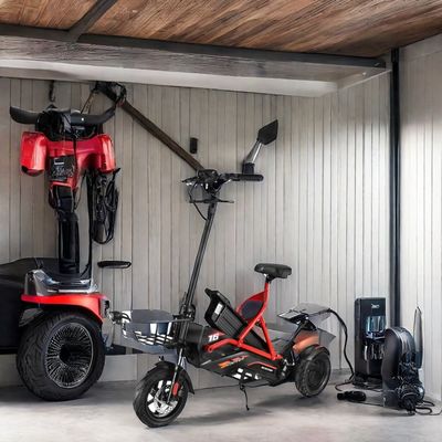 Electric Scooter with Dual Brushless Motors and Steel Frame 48V500W*2 Lithium Battery