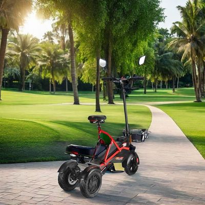 Electric Scooter with Dual Brushless Motors and Steel Frame 48V500W*2 Lithium Battery