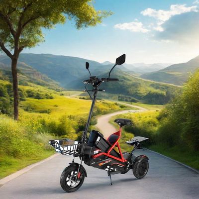 Electric Scooter with Dual Brushless Motors and Steel Frame 48V500W*2 Lithium Battery