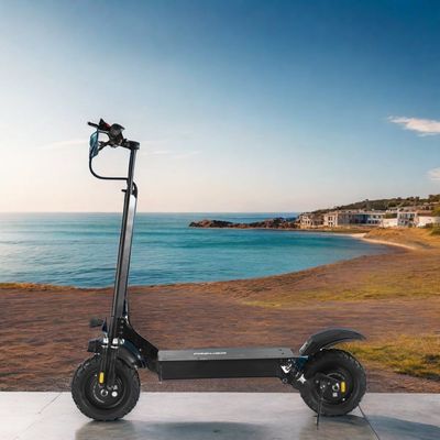 11&quot; Front and Rear Tubeless Off-Road Unisex Electric Scooter 800W 1000W*2 60V18ah