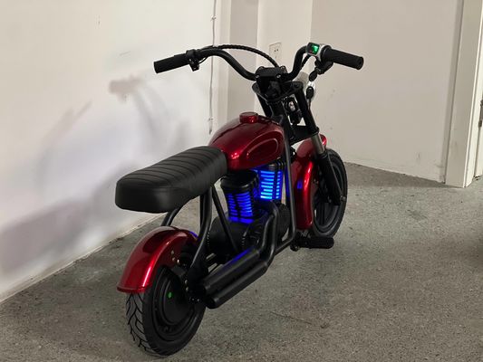 Mini Dirt Bike with CE Certification 180W 24V Motor and Compact Vehicle Dimensions