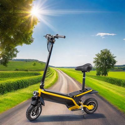350W/500W Battery Removable E-Scooter with Foldable Design and Max Range of 35KM/45KM