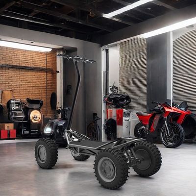 OEM Smart Digital Sensor Electronic Bluetooth 2kw 48V30ah Electric Scooter for Off-Road