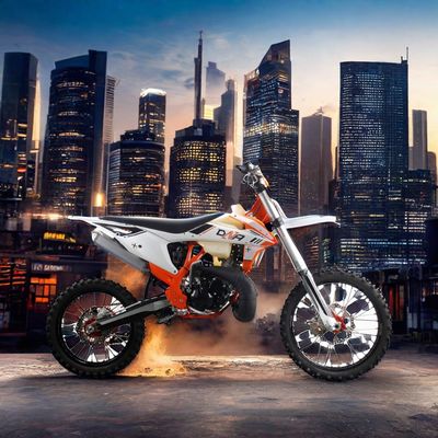 2 Stroke Engine Chain Drive Adult Motorcycle 250cc Off-Road Motocross Motorbike