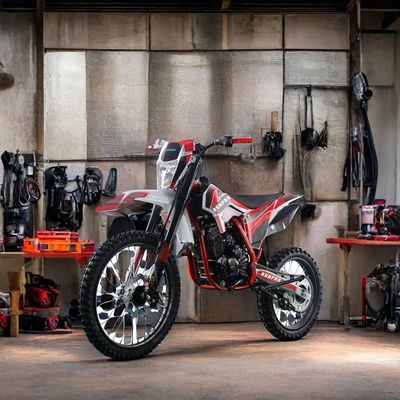 250cc Off-Road 4-Stroke Gasoline Motocross Dirt Bike with Electric Start and Disc Brake