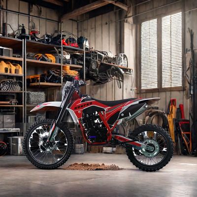 250cc Off-Road 4-Stroke Gasoline Motocross Dirt Bike with Electric Start and Disc Brake