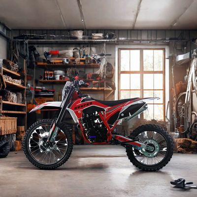 250cc Off-Road 4-Stroke Gasoline Motocross Dirt Bike with Electric Start and Disc Brake