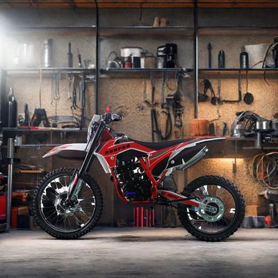 250cc Off-Road 4-Stroke Gasoline Motocross Dirt Bike with Electric Start and Disc Brake