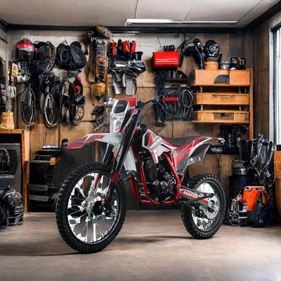 250cc Off-Road 4-Stroke Gasoline Motocross Dirt Bike with Electric Start and Disc Brake