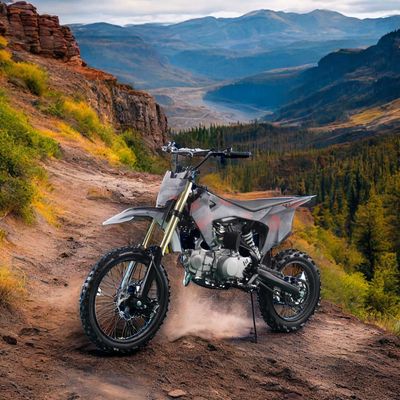 Electric Start 110CC 125CC 4 Stroke DIRT BIKE Off Road Motorcycle for Adult and Kids