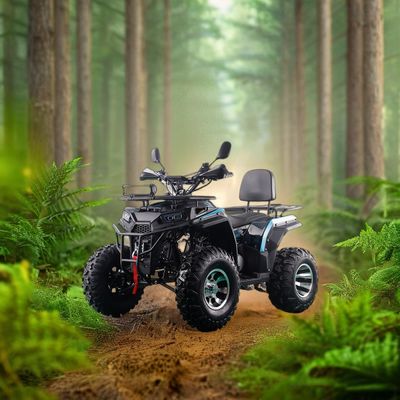 200CC ATV 250CC ATV Adult ATV Quad Bike with Chain Drive and 1000W Electric Pull Start