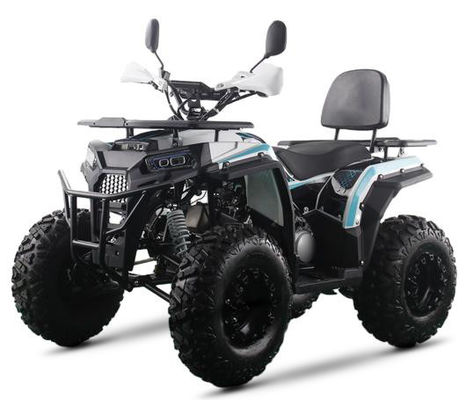 200CC ATV 250CC ATV Adult ATV Quad Bike with Chain Drive and 1000W Electric Pull Start