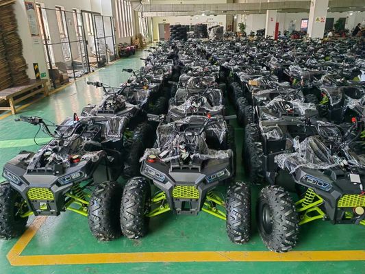 200CC ATV 250CC ATV Adult ATV Quad Bike with Chain Drive and 1000W Electric Pull Start