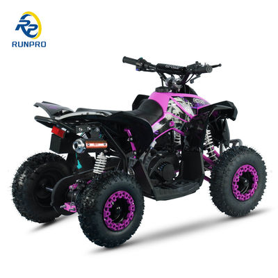 Wheels Size R 14*5.00-6 49CC AUTOMATIC Mini Electric start ATV Quad Bike with CE Approved