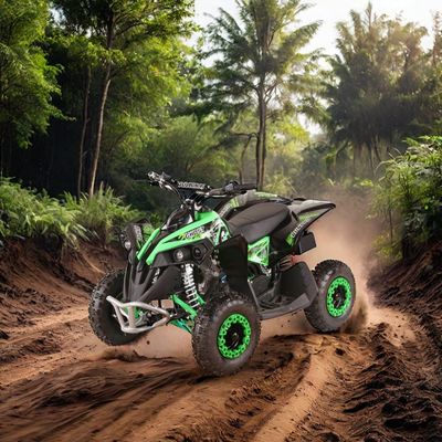 Wheels Size R 14*5.00-6 49CC AUTOMATIC Mini Electric start ATV Quad Bike with CE Approved