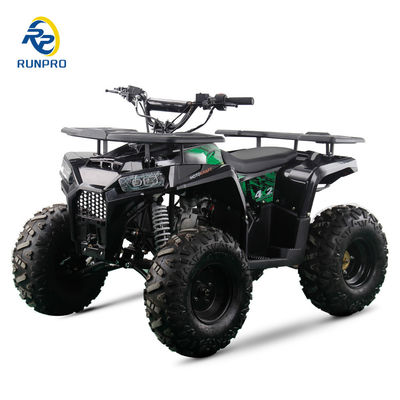 2WD All-terrain Double Four-wheeler Beach Buggy with 100-200kg Payload Capacity Perfect