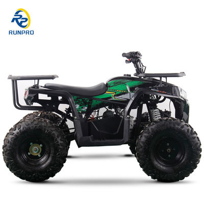 2WD All-terrain Double Four-wheeler Beach Buggy with 100-200kg Payload Capacity Perfect