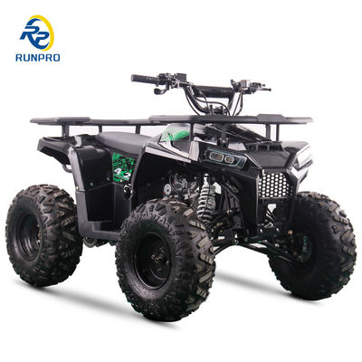 2WD All-terrain Double Four-wheeler Beach Buggy with 100-200kg Payload Capacity Perfect