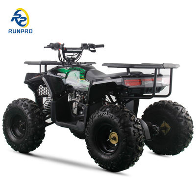 2WD All-terrain Double Four-wheeler Beach Buggy with 100-200kg Payload Capacity Perfect