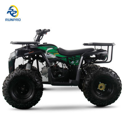2WD All-terrain Double Four-wheeler Beach Buggy with 100-200kg Payload Capacity Perfect