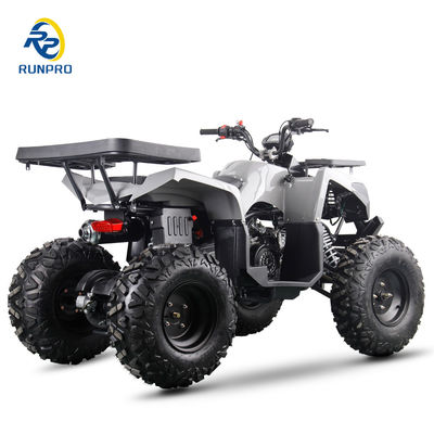 Gas/Diesel Beach Buggy Chain Drive 4 Wheeler 4-Stroke Quad Bike 200cc/300cc for Adults