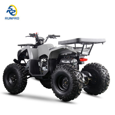 Gas/Diesel Beach Buggy Chain Drive 4 Wheeler 4-Stroke Quad Bike 200cc/300cc for Adults