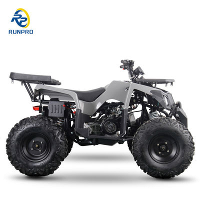 Gas/Diesel Beach Buggy Chain Drive 4 Wheeler 4-Stroke Quad Bike 200cc/300cc for Adults