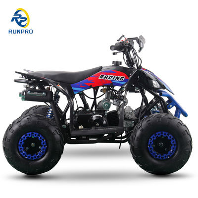 110CC 4-stroke Gas ATV 4 wheeler with 6inch tire Quad bike Auto Clutch Transmission
