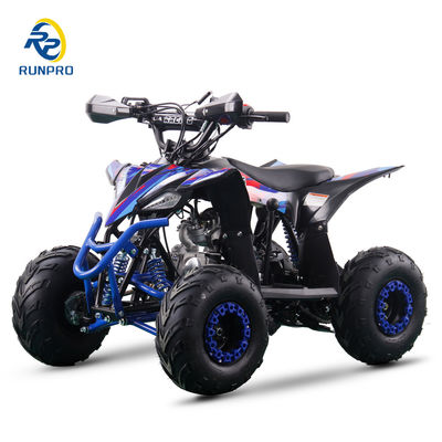 110CC 4-stroke Gas ATV 4 wheeler with 6inch tire Quad bike Auto Clutch Transmission