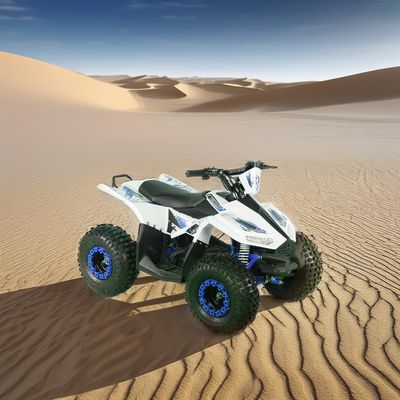 Kids Electric ATV Quad Bike with Wheelbase 600-1000mm and Overall Size 1250x760x800mm