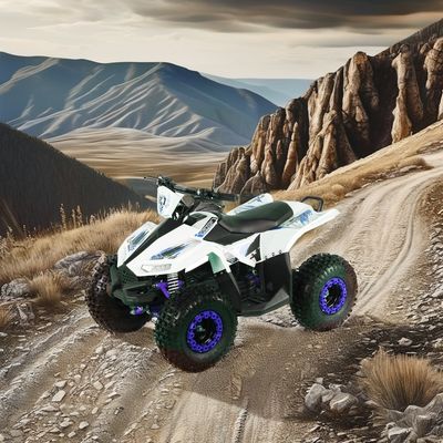 Kids Electric ATV Quad Bike with Wheelbase 600-1000mm and Overall Size 1250x760x800mm