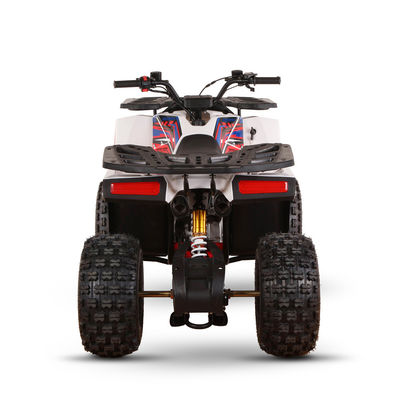 125CC Gas Powered ATVs for Adults Direct High Grade Ability ≥25° Displacement 125cc