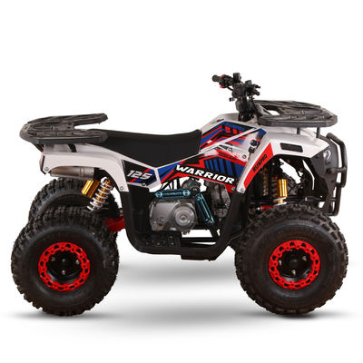 All-terrain 110cc 125cc Quad Bikes for Adults Max Loading 150kgs Chain Drive Transmission