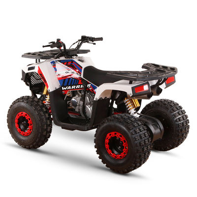 All-terrain 110cc 125cc Quad Bikes for Adults Max Loading 150kgs Chain Drive Transmission