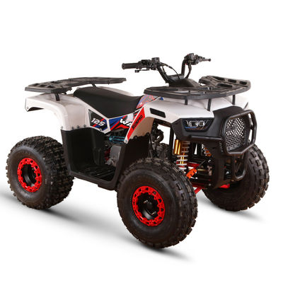 All-terrain 110cc 125cc Quad Bikes for Adults Max Loading 150kgs Chain Drive Transmission