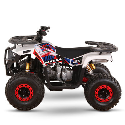 All-terrain 110cc 125cc Quad Bikes for Adults Max Loading 150kgs Chain Drive Transmission