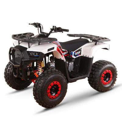 All-terrain 110cc 125cc Quad Bikes for Adults Max Loading 150kgs Chain Drive Transmission