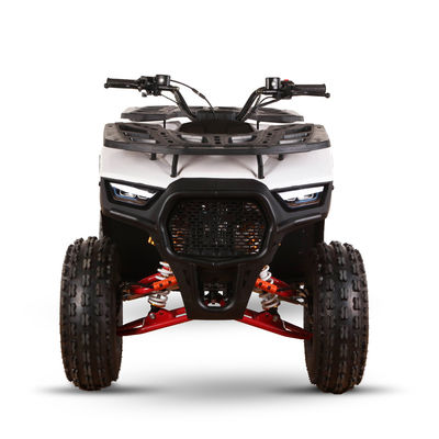 All-terrain 110cc 125cc Quad Bikes for Adults Max Loading 150kgs Chain Drive Transmission