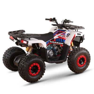 125cc Four Wheeler Bike for Off-Road Adventures Maximum Speed 50-75Km/h 1 Cylinder
